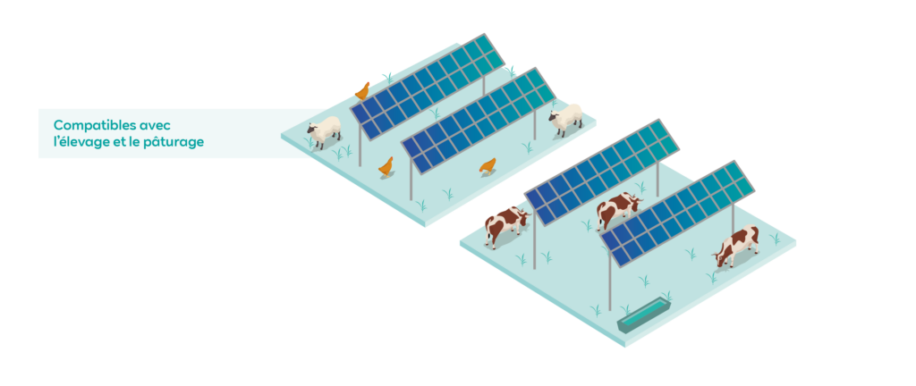 Centrales au sol adaptées à l'élevage et au pâturage